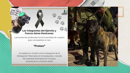 ¡Siempre te recordaremos Proteo!