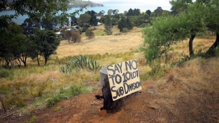 Concerns land clearing fines in Tasmania often seen as 'cost of doing business'