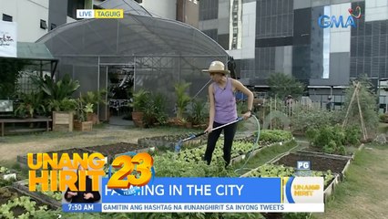 Farming in the City? Urban Garden sa BGC, ating bisitahin | Unang Hirit