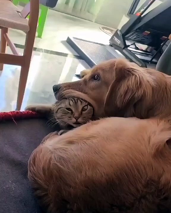 Bro is scared for his life 