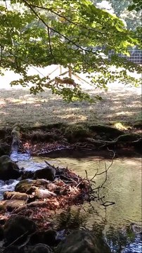 Parc du château de Vizille Musée de la Révolution française Domaine de Vizille #vizille #france (29)