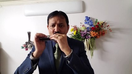 Madhubone me radhika-Film Kohinoor 1960-Vintage Song on Harmonica Live Performance by Mukund Kamdar