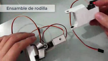 6. yachaq ensamble rodilla