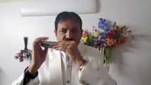 Maa Tujhe Salaam-Patriotic Song on Harmonica Live Performance by Mukund Kamdar