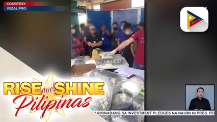P16.8-M halaga ng marijuana, nasabat sa Antipolo; 2 high-value drug suspek, arestado