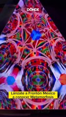 Metamorfosis, una experiencia inmersiva instagrameable