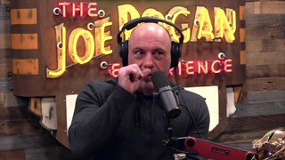 Joe Rogan- SHARKS And JELLYFISH! How DANGEROUS Are They-!
