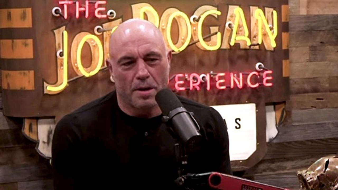Jordan Peterson Shows Off His New 2 Color SUIT - Joe Rogan