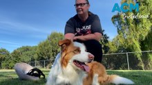 Sonja and Tilly: A love story