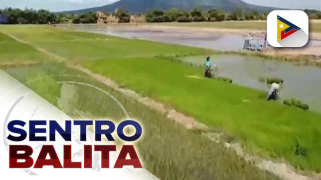 Pres. Marcos Jr., isinusulong ang pagpapataas ng produksiyon ng palay