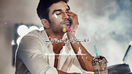 Fankar Hai To Hath Pe Suraj Saja Ke La | फ़नकार है तो हाथ पे सूरज सजा के ला | Naqvi Voice