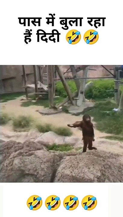 Fanny video