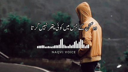 Haalat Ke Qadmon Pe Qalandar Nahin Girta | हालात के क़दमों पे क़लंदर नहीं गिरता | Naqvi Voice