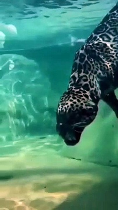 Lapped Under Water