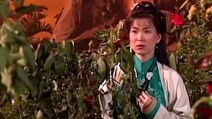 神鵰俠侶 1995 The Return of the Condor Heroes EP28 古天樂 李若彤 傅明憲 白彪 魏秋樺 李綺紅 嚴慧明 張可頤 簡佩筠 劉丹 神雕侠侣 TVB版