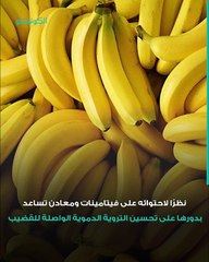 أطعمة تزيد الرغبة الجنسية عند الرجال