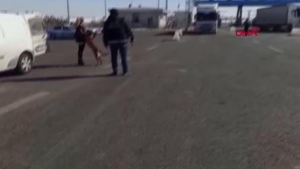 Ankara'da 10 milyon liralık uyuşturucu operasyonu 2 gözaltı