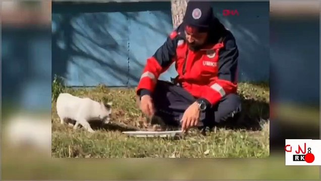 UMKE personeli yemeğini kedi ile paylaştı