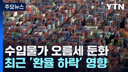 '환율 하락' 덕 본 수입물가...한국은행 부담도 ↓ / YTN