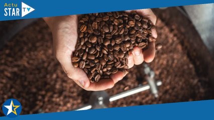 Optez pour l'une de ces 3 machines à café avec broyeur intégré !