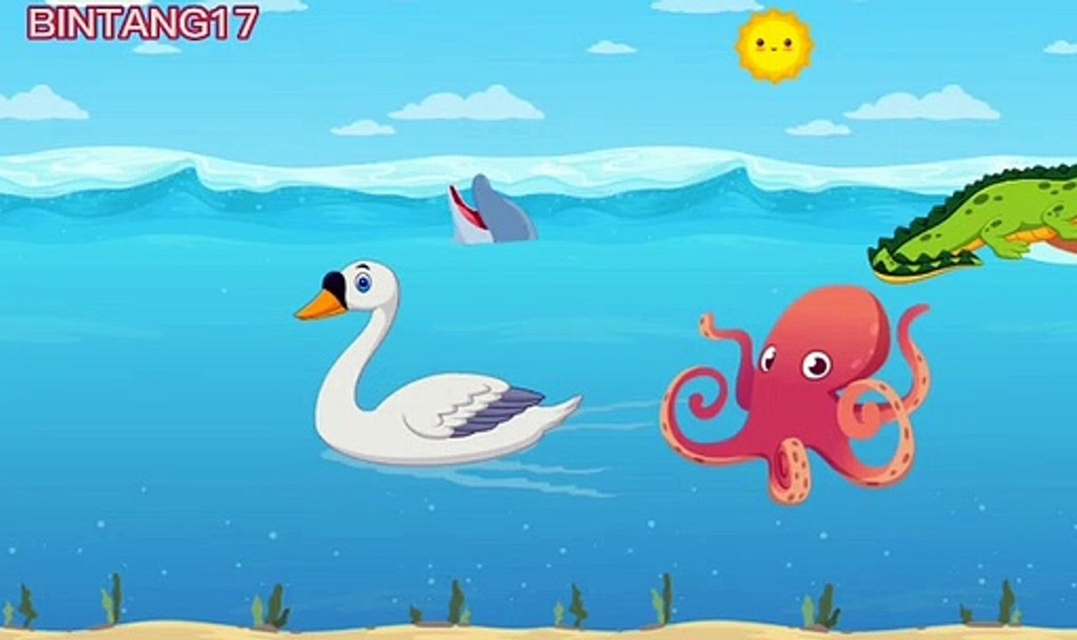 Sea Animals and Their Sounds To Recognize Video Dailymotion