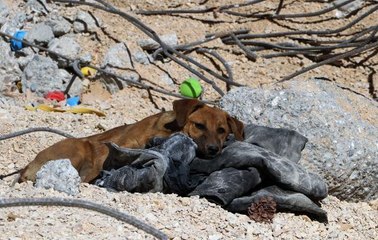 ADANA'DA ENKAZ KALDIRILDI, GERİYE SADECE ACI KALDI