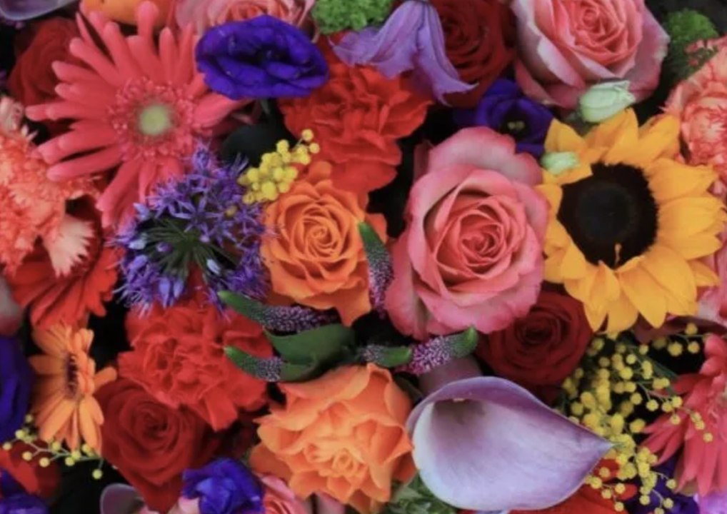 Con quali fiori dire “ti amo”?