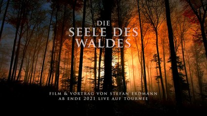Die Seele des Waldes | movie | 2023 | Official Trailer
