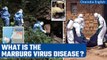 Marburg virus disease outbreak confirmed by WHO | Oneindia News