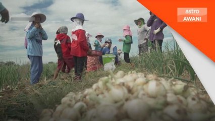 Inflasi | Harga bawang di Filipina mencecah RM162 sekilogram
