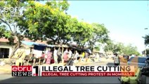 Illegal Tree Cutting Protest In Machakos