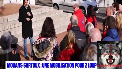 Une mobilisation pour deux loups à Mouans-Sartoux