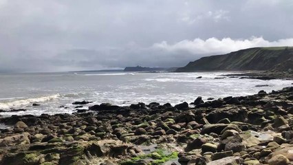Dinosaur footprint found in Filey
