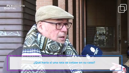 “¿Por una rata vamos a ir presos?”: los ciudadanos alucinan con la Ley de Bienestar Animal