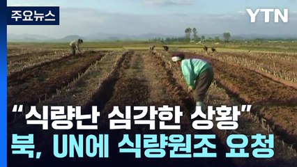 통일부 "北 식량난 심각한 상황"...北, UN에 원조요청도 / YTN