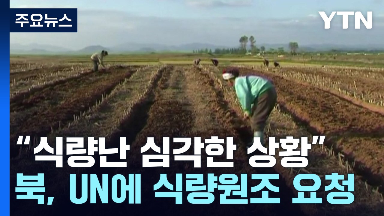 통일부 "北 식량난 심각한 상황"...北, UN에 원조요청도 / YTN
