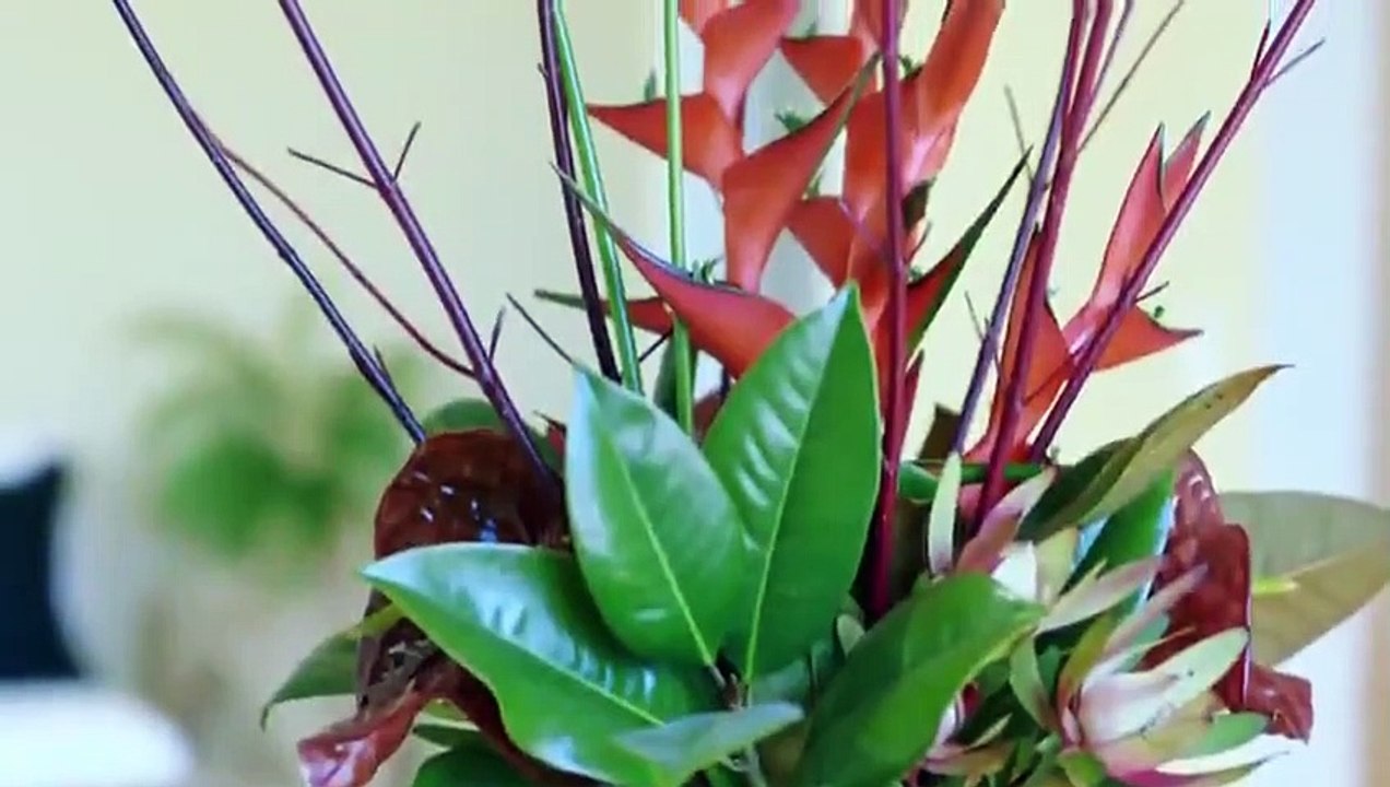 The Block NZ - Se7 - Ep38 HD Watch