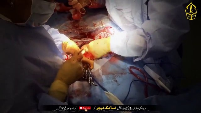 Never Let Your Wife Do These Three Things - Otherwise Wealth Will Never Be Found - IT