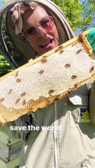 Bee Haven Bodycare has Tiktok buzzing