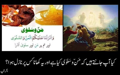 Mann o Salwa || مَنّ و سَلوٰی کیا ہے || Islamic Information || Rooh-e-Insan