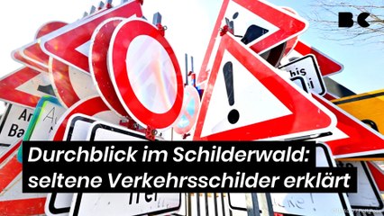 Durchblick im Schilderwald: Erklärung seltener Verkehrsschilder