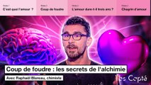 Les secrets du coup de foudre expliqués par un chimiste - T'as Capté - CANAL 