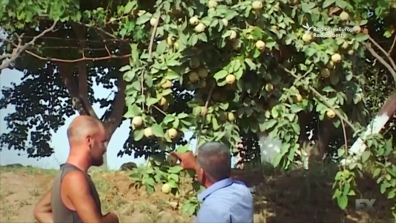 The Weekly - Se1 - Ep04 - Collision HD Watch