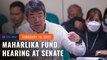 ‘A very expensive public brainstorming’: Senators grill Maharlika fund backers