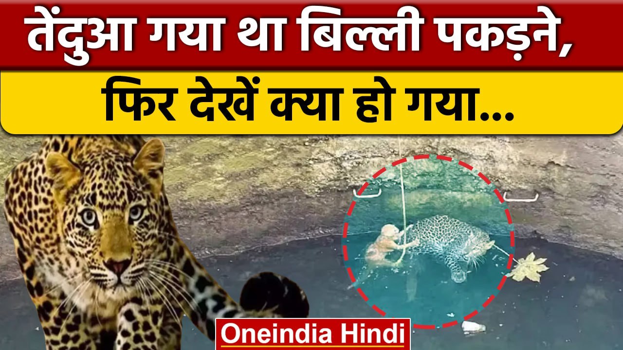 तेंदुआ गया बिल्ली पकड़ने, फिर देखें क्या हुआ... | Nashik Leopard And Cat Rescue | वनइंडिया हिंदी