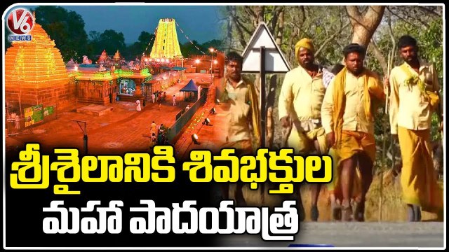 Maha Shivaratri 2023 : Shiva Devotees Maha Padayatra To Srisailam | V6 News