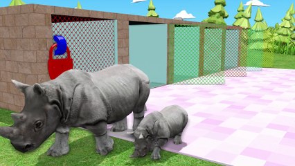 Choose-The-Right-Drink-With-Cow-Gorilla-_16