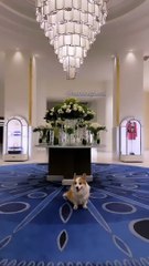 Anouchka Delon passe la Saint-Valentin en bord de mer. Le 14 février 2023.