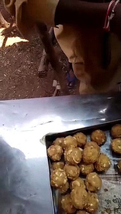 Bhojpuri song by