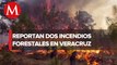 Registran dos incendios forestales en el parque Cofre de Perote, Veracruz